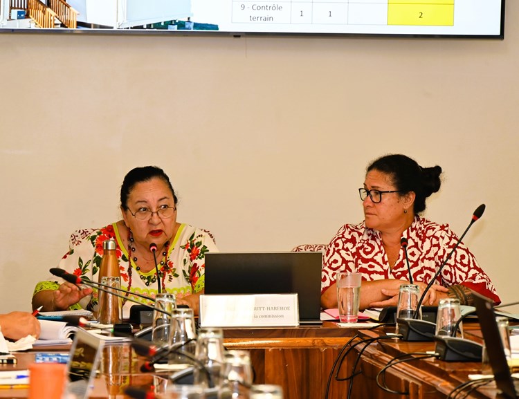 Réunion d’information relative aux aides à l'habitat social en Polynésie française