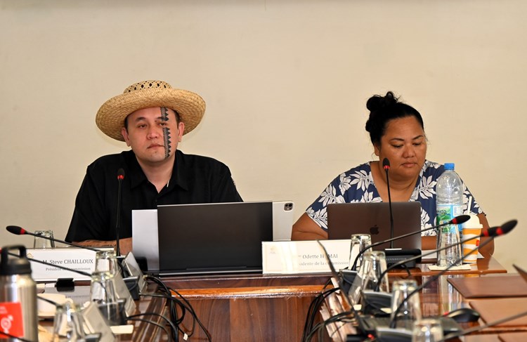 Réunion de la commission du tourisme et de la culture