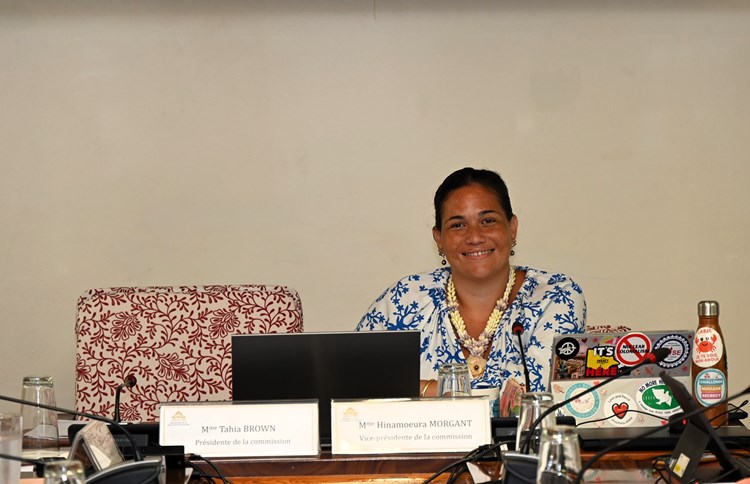 Cinq projets d’arrêté examinés lors de la commission de contrôle budgétaire et financier