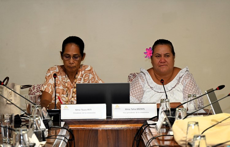 Réunion de la commission de l’emploi et de la fonction publique