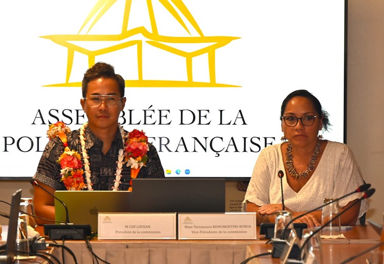 Réunion de la commission du tourisme et de la culture