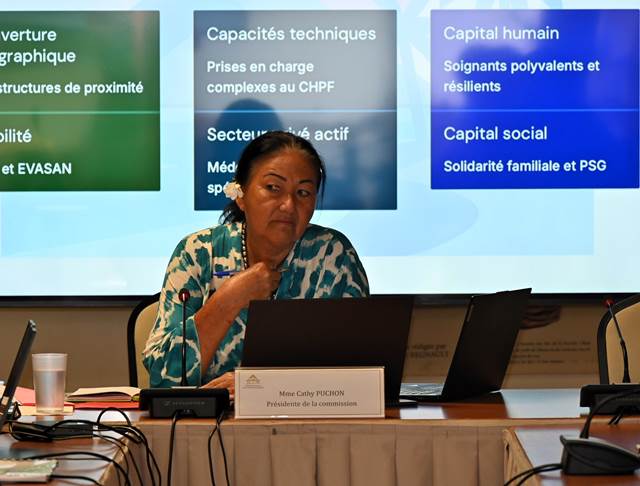 Réunion d'information sur la "Présentation du schéma d’organisation sanitaire 2026-2031