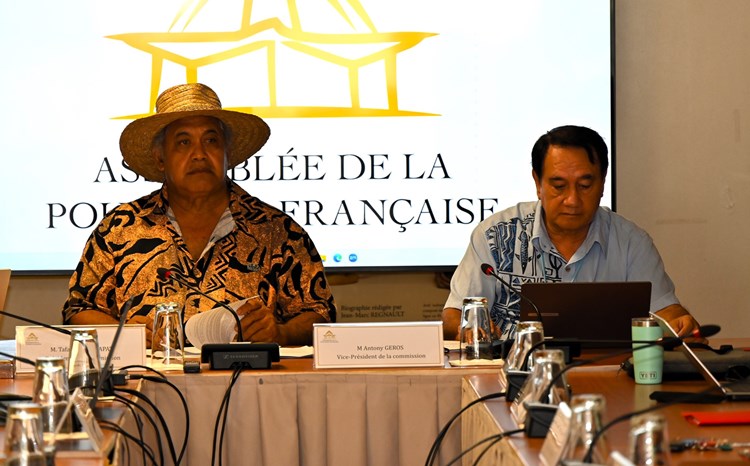 Commission des institutions, des affaires internationales et des relations avec les communes