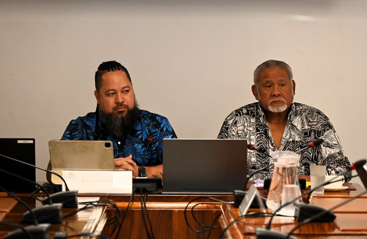 Réunion d'information sur l’harmonisation des formations BAFA et BAFD en Polynésie française